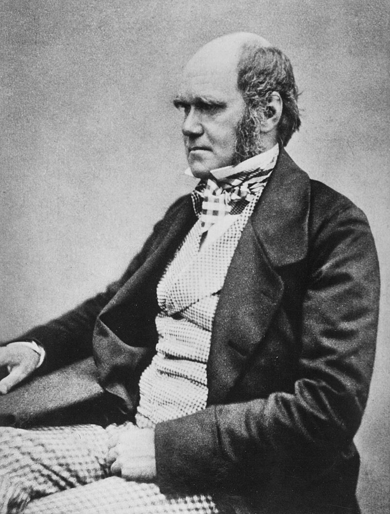 a.a.darwin